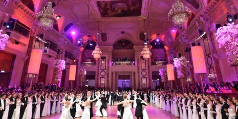 Wiener Kaffeesiederball